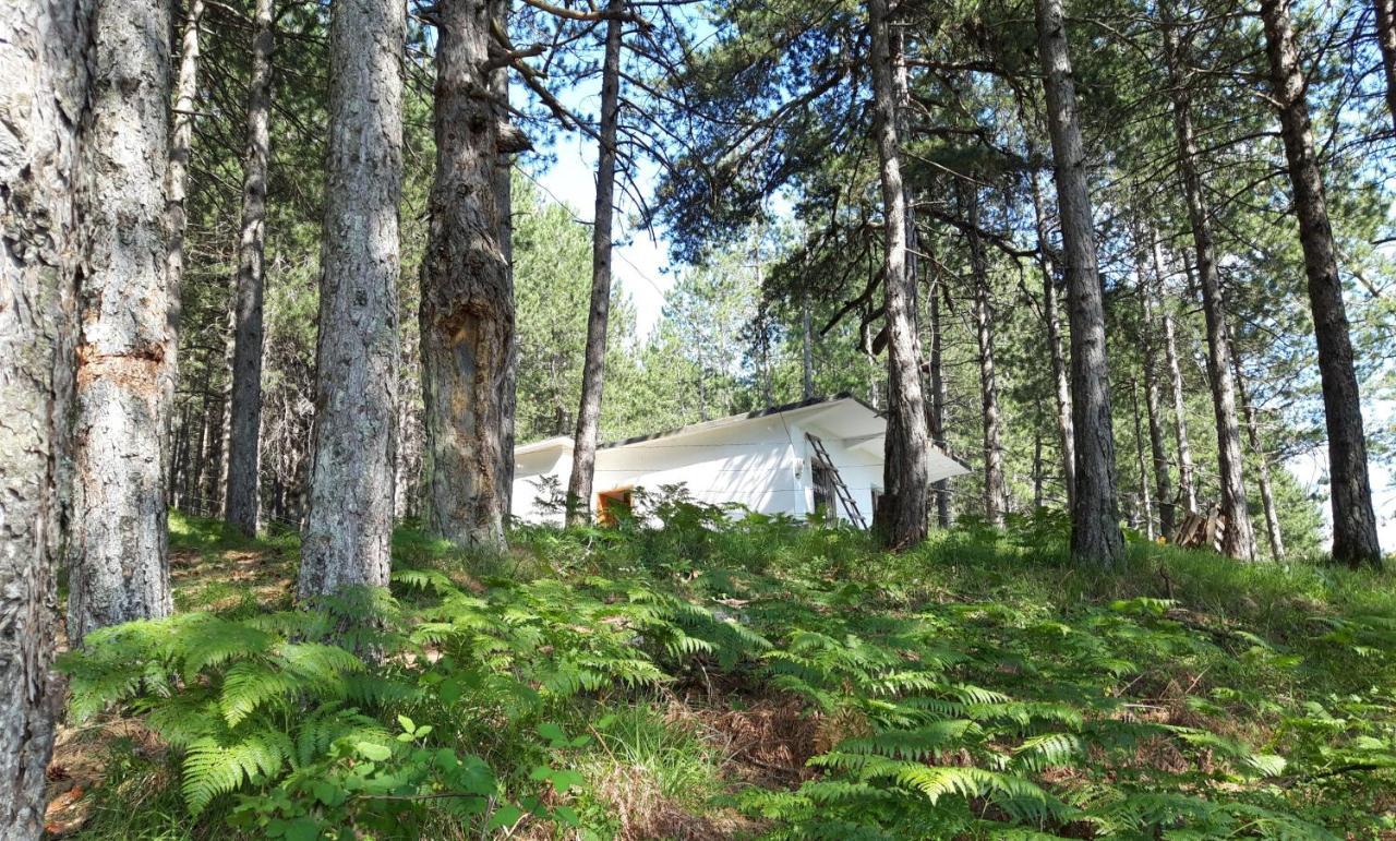 Villa Bujtinat Skenderi Gjinar 2 Exterior foto